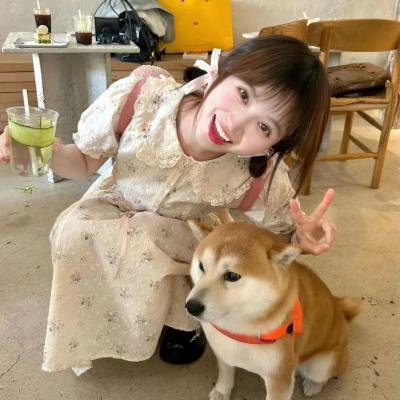 海边的屋子