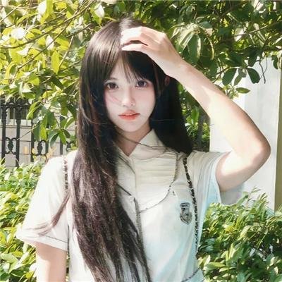 黑玫瑰