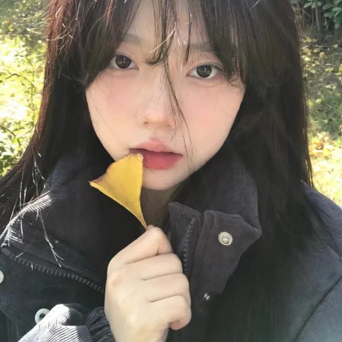 叶问4:完结篇
